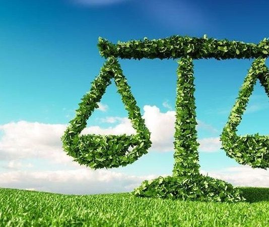 Çevre hukuku, doğal kaynakların korunması, çevresel dengenin sürdürülebilir şekilde devam ettirilmesi ve gelecek nesillere sağlıklı bir yaşam alanı bırakılması amacıyla geliştirilen en önemli hukuk dallarından biridir. Artan sanayileşme, hızlı kentleşme ve doğal kaynakların yoğun kullanımı, çevresel sorunların daha görünür hale gelmesine neden olurken bu alandaki hukuki süreçlerin de önemini artırmaktadır. Açılan çevre davaları, yalnızca belirli bir uyuşmazlığın çözümünü hedeflemekle kalmamakta, aynı zamanda çevrenin korunmasına yönelik hukuki uygulamaların gelişmesine de katkı sağlamaktadır. Konulu bir haber görseli.